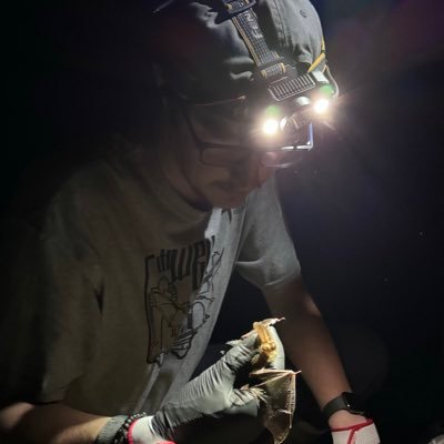 Aspiring biologist with an affinity for bats, ecology, conservation, behavior, and sound. | tOSU alumnus |