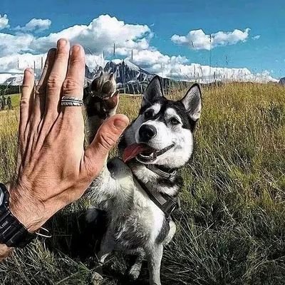 Lee463757079677's profile picture. 