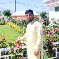 M. Ajmal Saidee 🇦🇫مØÙ…د اجمل سیدي (@majmalsaidee22) 's Twitter Profile