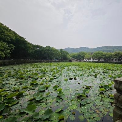 beitashuke5's profile picture. 每个人都是不一样的烟火，经历不一样的人生，随性随心充实一生