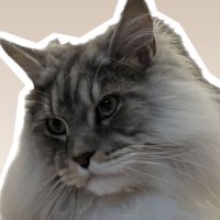 猫头33 5-18-11 WF2025w (@maotou33) 's Twitter Profile