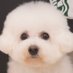 もこ🛀🫧💢 (@lartenorio) Twitter profile photo もこ🛀🫧💢 (@lartenorio) Twitter profile photo