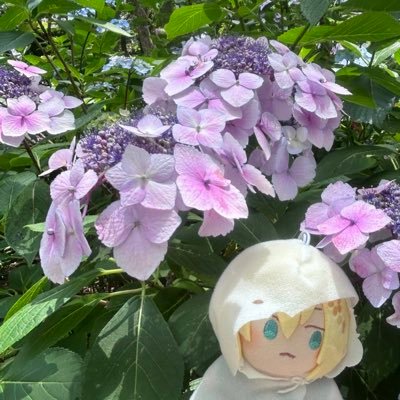 取引垢/成人済/ ツイフィ一読推奨/本垢（雑多）⇒@kinako__2174/ 主な取引ジャンル【刀剣乱舞（山姥切国広）・学園アイドルマスター（藤田ことね）🌈🕒（周辺B済.別垢有】※3日以上お返事を頂けない場合は催促のDMをさせて頂きます🙇‍♀️