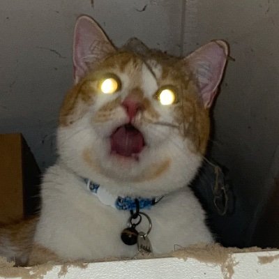 invertiert's profile picture. 