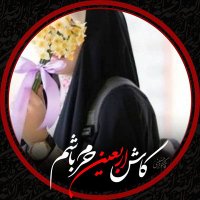 سایه های نقره ای (@ztahmas313) 's Twitter Profile Photo سایه های نقره ای (@ztahmas313) 's Twitter Profile Photo