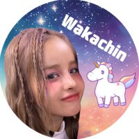 🐰wakachin🦄 (@__hesonoo__) 's Twitter Profile