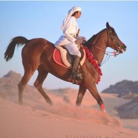 عبد العزيز (@fwaz__f16) 's Twitter Profile