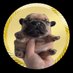 Im Leonard (@eyemleonard) Twitter profile photo Im Leonard (@eyemleonard) Twitter profile photo