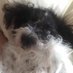 Leonie (@leonie38800417) Twitter profile photo Leonie (@leonie38800417) Twitter profile photo