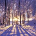 Tammy Andersen - @TammyAndersen - Twitter