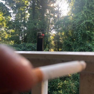 econn1101's profile picture. don’t tell my mom