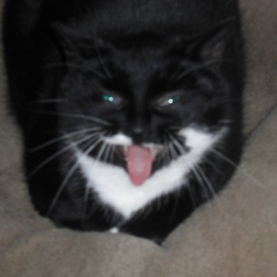 Ikwilhetweten's profile picture. 42 Was a lie. On the outside, looking in.