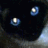 boreliqigosi's profile image