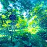 N_StarlightBlue's profile picture. 北海道、旅。北海道道120号旧道牽牛橋r665、水没道道、飛行場前、川北温泉好き。ヘッダは浅茅野。MINI F55。夜行列車。