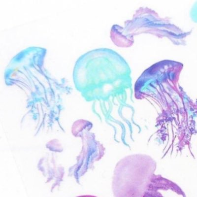 jellyfish_5_300's profile picture. 興味➡️五月雨登校🏫場面緘黙💭HSC💝WISC📖漢検🈴英検🔠天文学🔭法律（主に学校関係〜生活）⚖️政治📰健康💪家庭菜園🥗漫画📚アニメ📺映画🎦