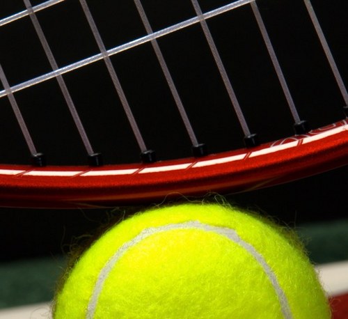 Tennispark met 12 Topclay banen gelegen naast Elswout op de rand van Haarlem en Overveen