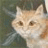 jeqytonupul's profile image