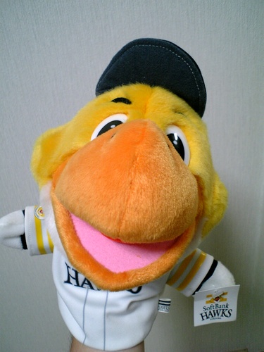 shigeyuki_1008's profile picture. 中学高校卓球部で関東在住の九州男児（福岡県生まれの熊本県熊本市育ち）です。音楽、D1GP、野球（FUKUOKA SoftBank HAWKS：福岡ソフトバンクホークス）が大好きです。よろしくお願い致します！