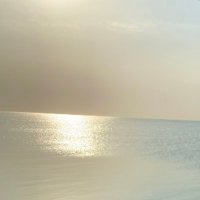  Abdullah (@aa_sarar) 's Twitter Profile