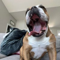 Kim (D'Angelo) Jones (@53rocket) 's Twitter Profile