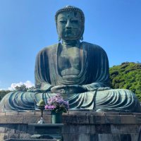 はりー (@naikakuhu_) Twitter profile photo