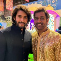 SsMB*MSD🦁🌶️ (@msdssmb) 's Twitter Profile