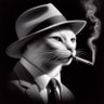 TommyTheCatAlgo's profile picture. I don't know what the purpose of my account is either