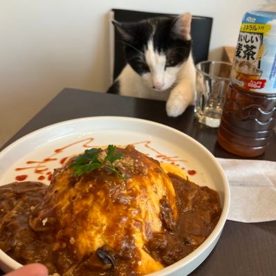 haruTQQ's profile picture. SIT BP25/07/太鼓の達人 ブルー六段→(グリーン九段→21玄人→22玄人)データ消失→25玄人 【その他】にゃんこ大戦争、R.E.P.O、スプラ、五等分の花嫁好き/初見タメ⭕️/積極的に絡みに来てくれると嬉しいです！！