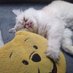 Leo_ALNA (@leoalna) Twitter profile photo Leo_ALNA (@leoalna) Twitter profile photo