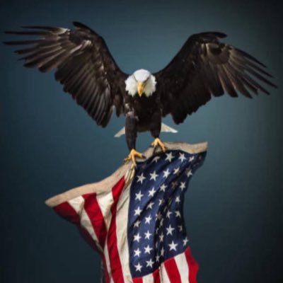 God first. Family, Trump Supporter. Wake up! Love life, it’s our job to support and do right by humanity. stop hating. increase love of people. Navy veteran.
