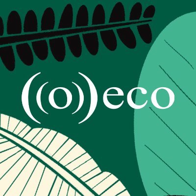 Jornalismo ambiental independente. Aqui o meio ambiente é sempre manchete.