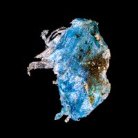 susumu_okada (@susumuokada) Twitter profile photo