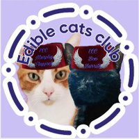 Angel Murphy & Angel 😇 Boo 🌈 🌉 (@murphytcat) Twitter profile photo