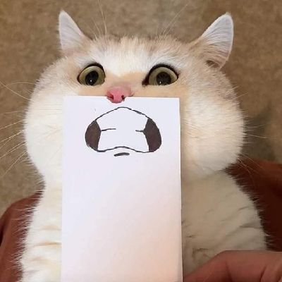 P.มะแงวคิดถึงไบเบิ้ลさんのプロフィール画像