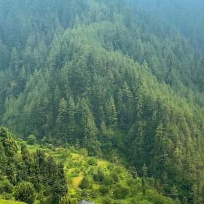 Anish976's profile picture. Advocate,High Court of Himachal Pradesh,
servant of Justice,Capitalist with a socialist perspective, animal rights activist and a grateful son.