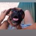 Francisco (@depereira12761) Twitter profile photo Francisco (@depereira12761) Twitter profile photo