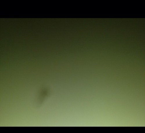 3674280's profile picture. 我々はTwitterを通して世界の真実たるものを述べさせて頂く