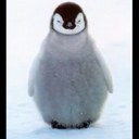 Kasey Linton - @rtisticgirl - Twitter