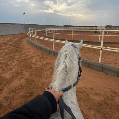 saad_6369's profile picture. 