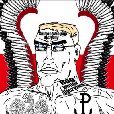 klasyczek's profile picture. Polak 🇵🇱 strasseryzm 🔨🗡️ . Kocham: nature, silownie, militaria i historie. 🧌🌲ᛗᚨᚱᛖᚲ