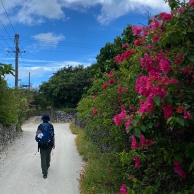 日々日常を撮ってます。拙い写真ですが、皆さまもしよかったら見てください。よろしくお願い致します😊I photograph everyday life. It's a poor photo, but please take a look if you like. Thank you for your support.