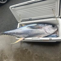 よし (@yoshi_jiging) Twitter profile photo