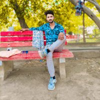 Naresh Meena (@nareshmeen5250) 's Twitter Profile