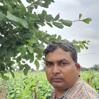 bhikham das (@bhikham1977) 's Twitter Profile Photo bhikham das (@bhikham1977) 's Twitter Profile Photo