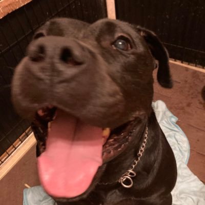 dpro_wef2407's profile picture. DPro 2024年7月期生 “プログラミングスクール記録” (2024年10月 卒業)