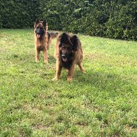 PawełSig 🇵🇱 (@pawelsig) 's Twitter Profile