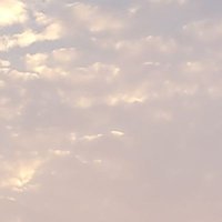 나린 (@narin_starlight) 's Twitter Profile