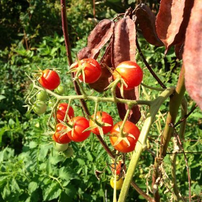 lingalopez47's profile picture. 