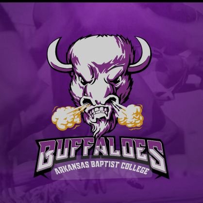 JamaalPippins's profile picture. Arkansas Baptist College men's assistant coach