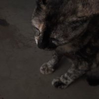 JCK (@black_summer_90) 's Twitter Profile